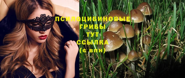 не бодяженный Абаза