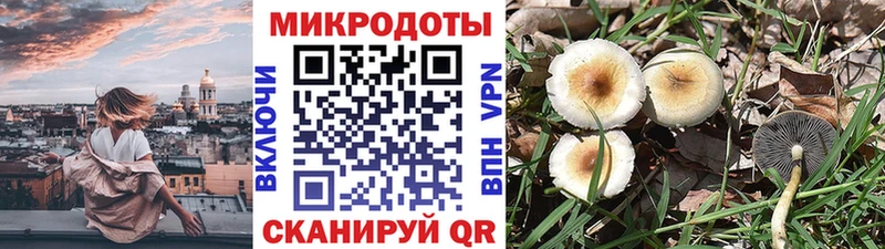 Галлюциногенные грибы MAGIC MUSHROOMS  Великий Новгород 