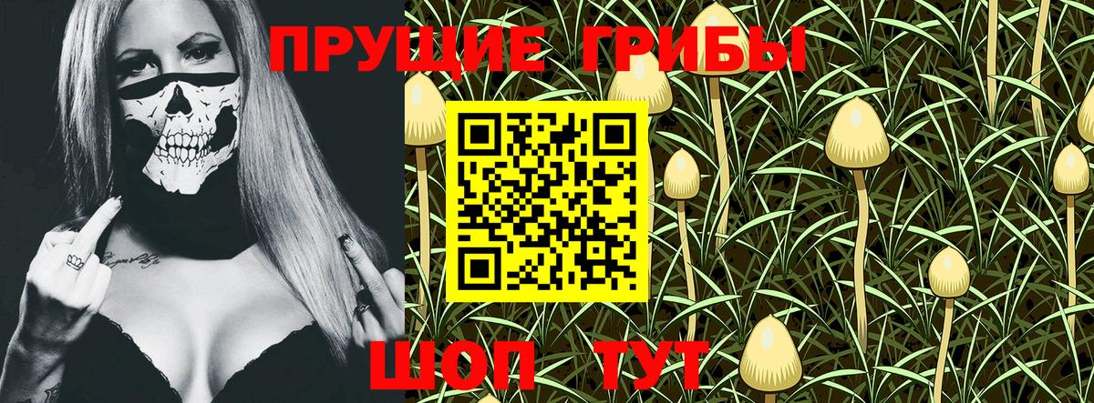 Великий Новгород  Галлюциногенные грибы Magic Shrooms  Вход с VPN 